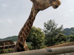 -西安秦岭野生动物园