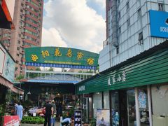 -曲阳花鸟市场(曲阳路店)