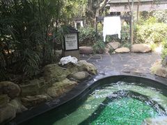 -融汇温泉