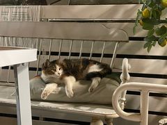 -厦门良筑精品酒店(厦门中山路店)