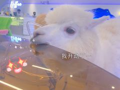 -Blue Concept Cafe&Farm·關於藍