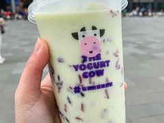 -一只酸奶牛(春熙路店)