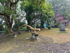 -海口火山口国家地质公园