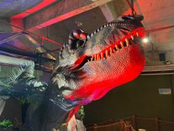 -恐龙探索乐园(磁器口店)