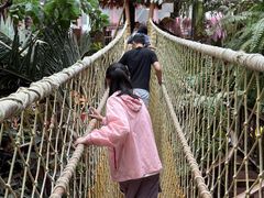-正佳雨林生态植物园