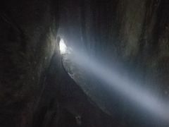 -六里坪国家森林公园