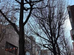 -乐天免税店(明洞店)