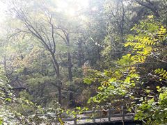 -天津盘山风景名胜区