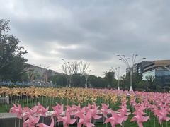 -新华文创·光的空间