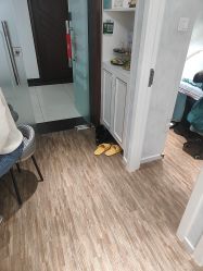 -木棉问题肌·肩颈·纹绣