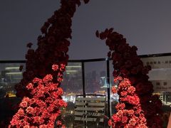 -烛影拾光观景餐厅·创意菜·摄影·小提琴(大唐不夜城店)