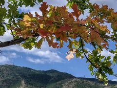 -北京西山国家森林公园