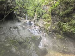 -牛背梁国家森林公园