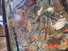 -海天盛宴潮汕蒸汽海鲜高端自助形象店