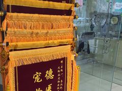 -瑞派天使宠物医院·神经外科·骨科·核磁(洛川中路店)