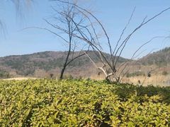 -南北湖风景区