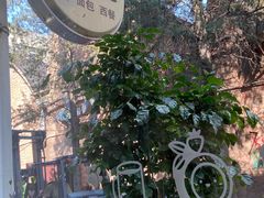 -威克特披萨汉堡