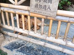 -龙华寺
