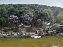 -北京西山国家森林公园