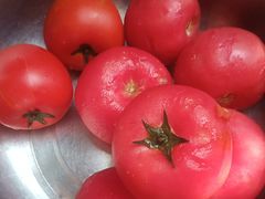 -老鼎万春卤菜(五代传承创始老店)