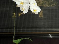 -明湖楼·经典鲁菜(大明湖店)