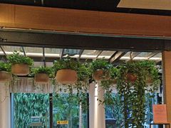 -庄子梦然·城市微度假·24h按摩·推拿·spa