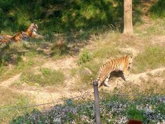 -杭州野生动物世界