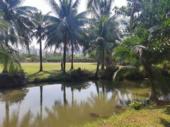 -白沙门生态公园