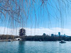 -济南大明湖景区