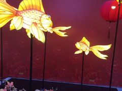 -上街里市集(悦喜客来广场店)