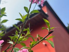 -乌山风景区