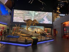 -贝林大翅鲸简餐厅(国家海洋博物馆店)