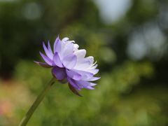 -苏州上方山国家森林公园