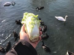 -长白岛森林公园