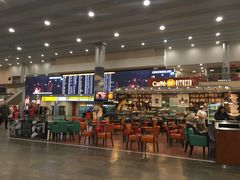 -谢列梅捷沃国际机场