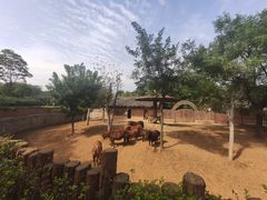 -石家庄市动物园