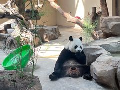 -宁波野生动物园