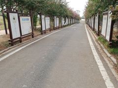 -武汉紫薇都市田园