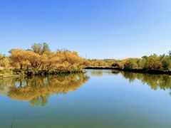 -新疆国际大巴扎