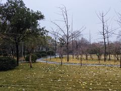 -河南师范大学(主校区)