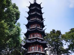 -上海佘山国家森林公园西佘山园