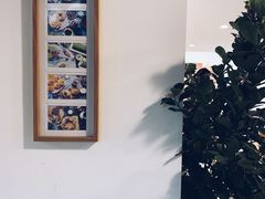 -猫里有甜