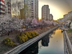 -百年义利(甜水园东里店)