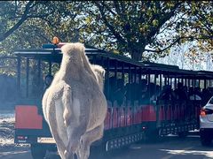 -杭州野生动物世界