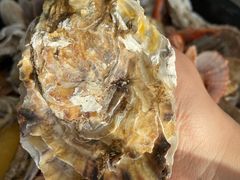 -前王院•巧克力海鲜市集餐厅(万平口店)