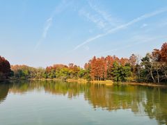 -东湖落雁景区