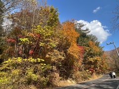 -五女峰国家森林公园