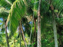 -海南清水湾莱佛士酒店