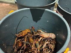 -虾胡闹龙虾馆(湄南河店)