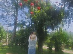 -沙美村